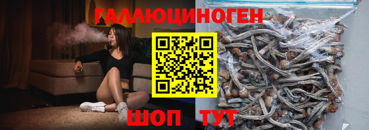 Псилоцибиновые грибы ЛСД Грязи